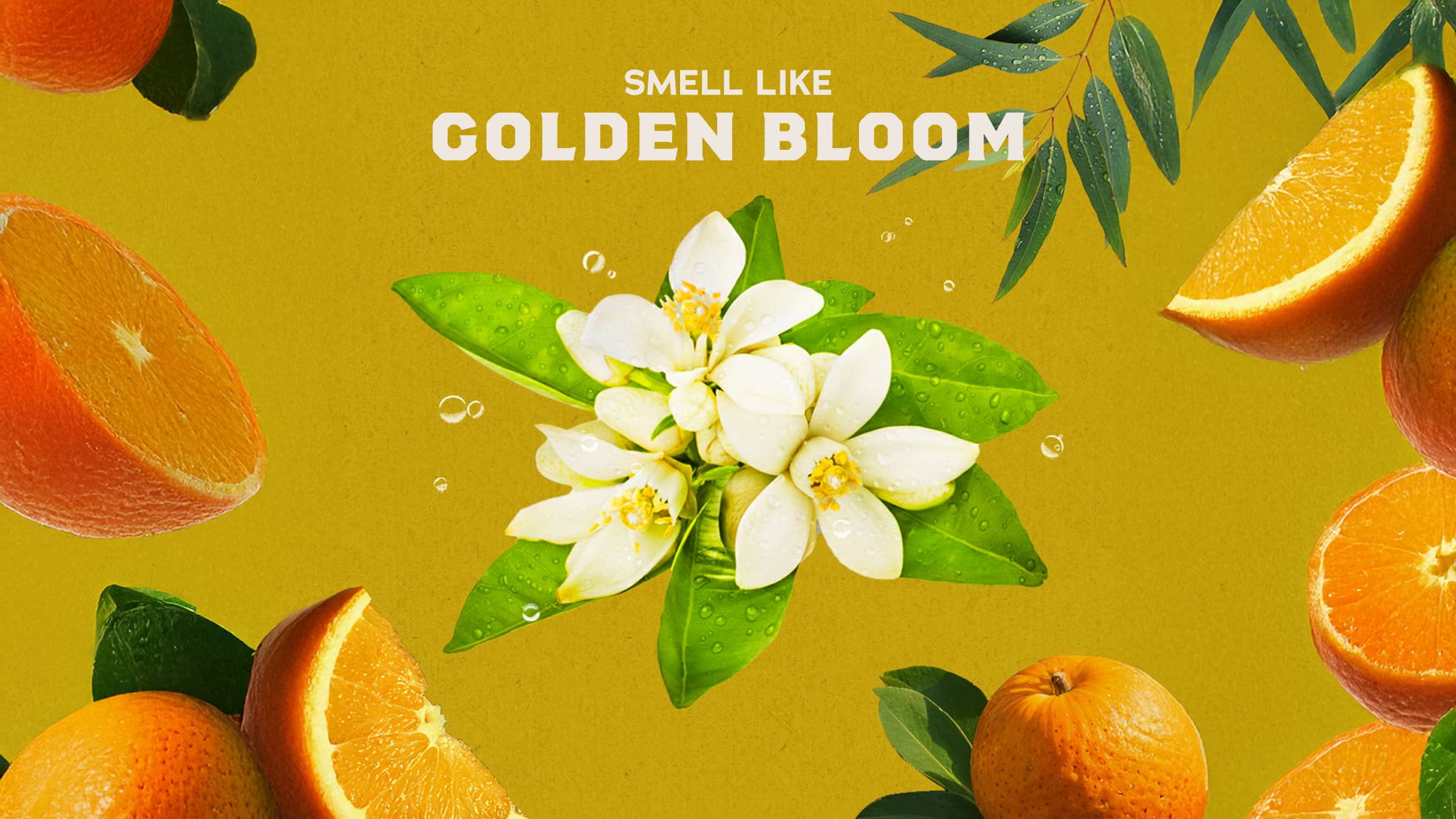 Mountain Meadow Deodorant - Image 3