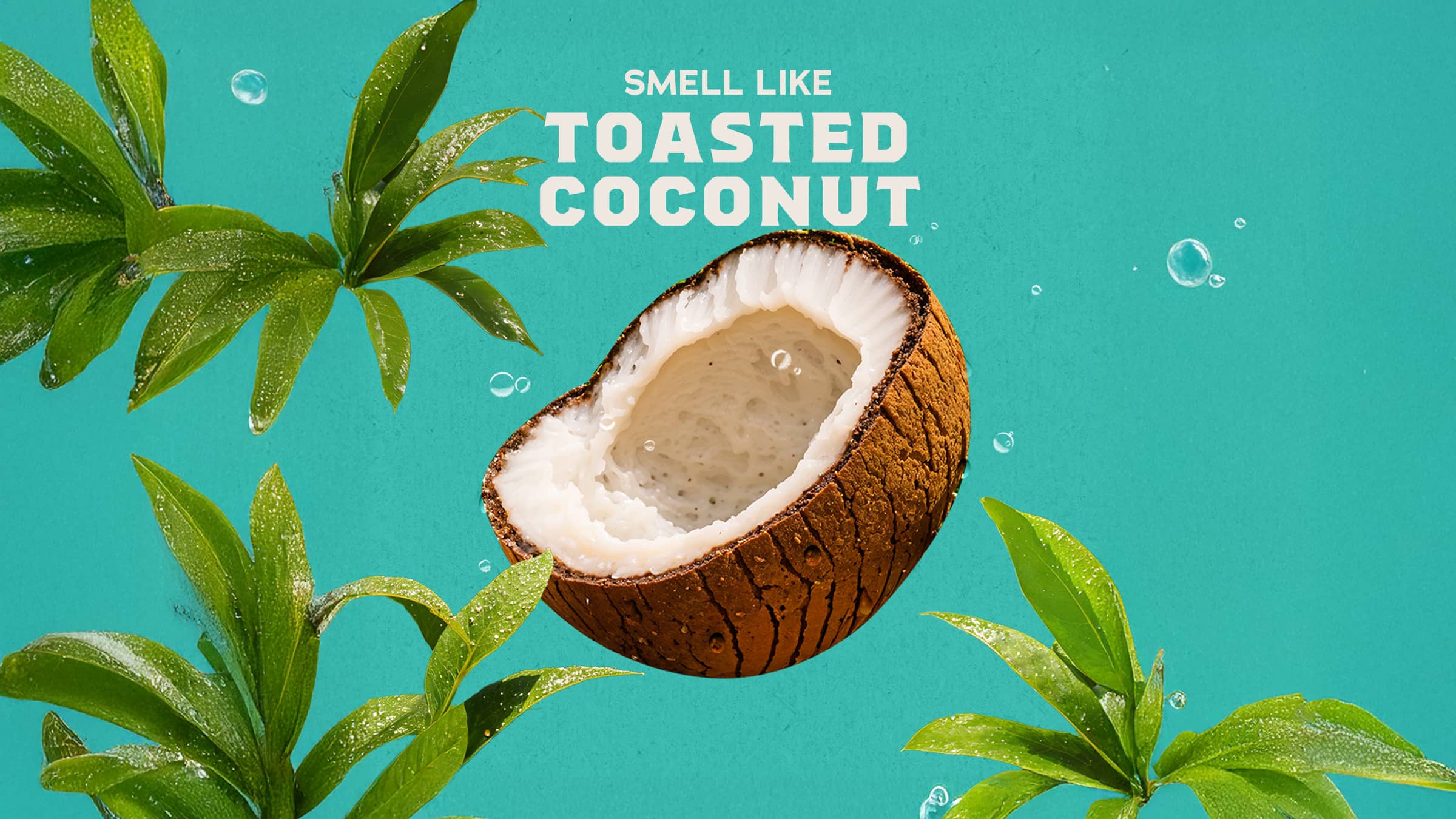 Coconut Castaway Invisible Glide Deodorant - Image 3