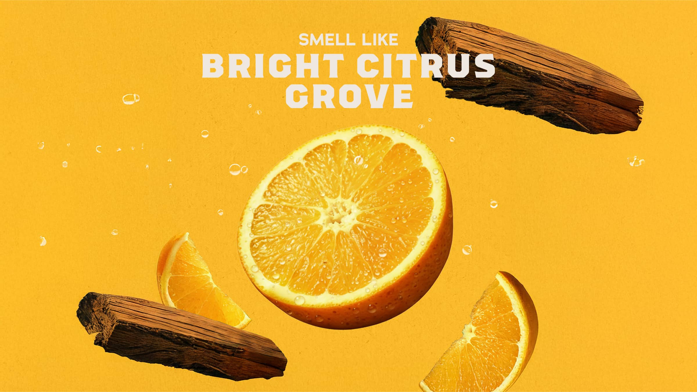 Summer Citrus Invisible Glide Deodorant - Image 3