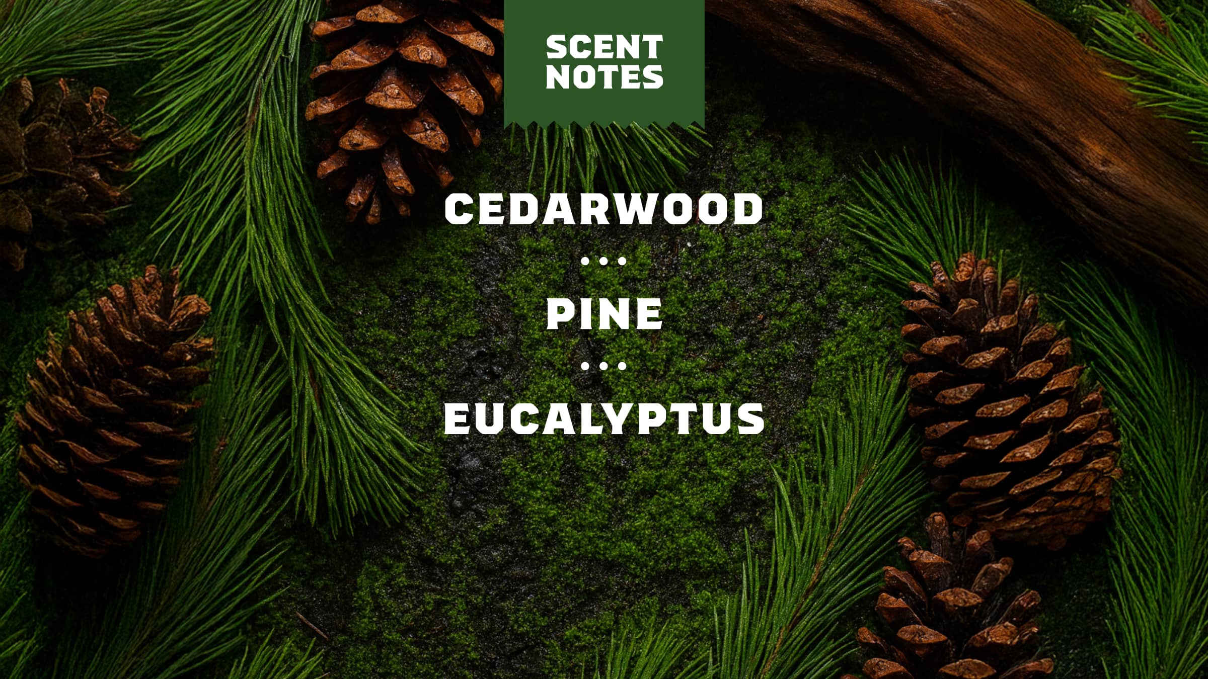 Woodland Pine Beard Oil & Cologne - Image 4