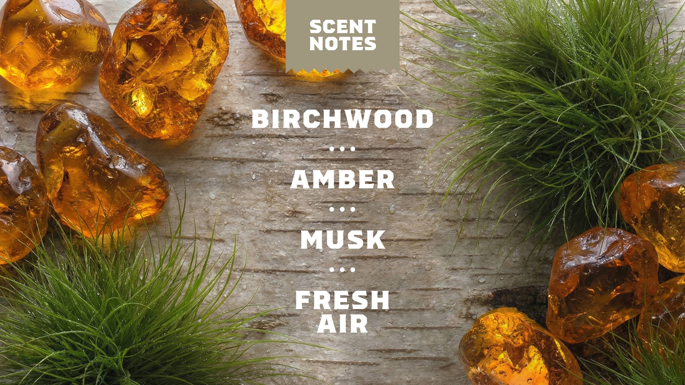 Birchwood Breeze Face Wash - Image 4