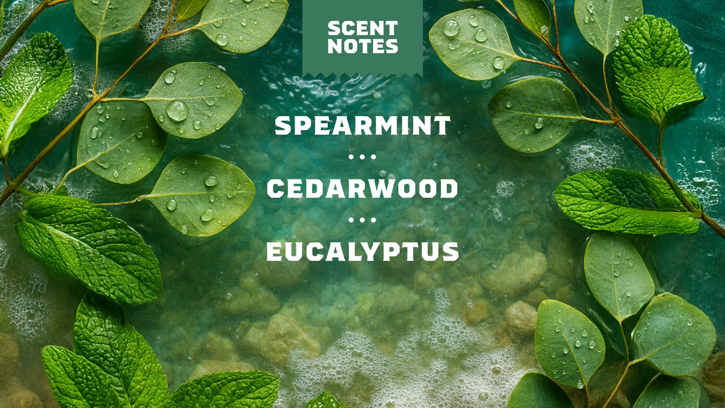 Rainforest Rapids Face Wash - Image 4
