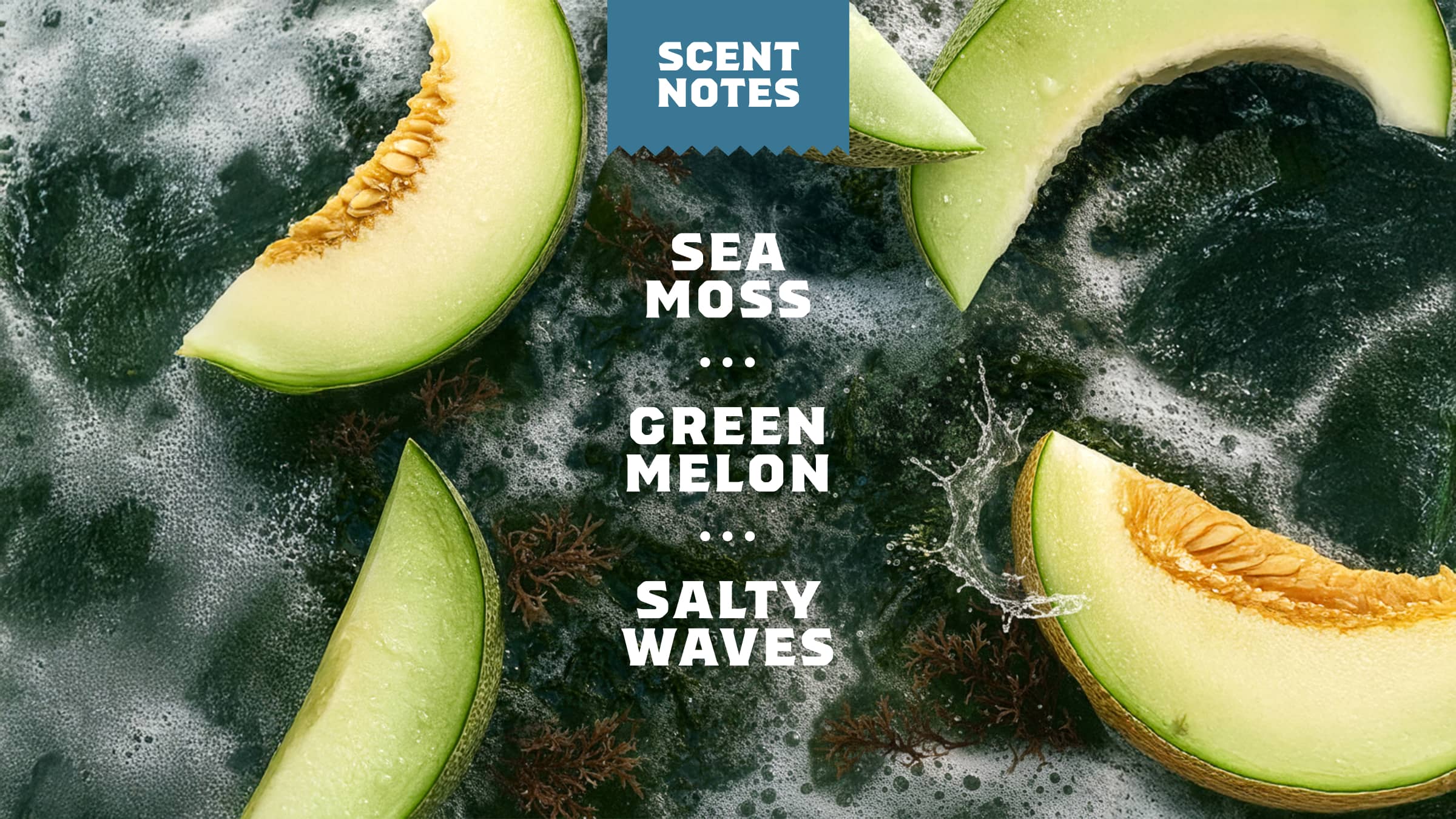 Coastal Mist Bar Soap - Image 4