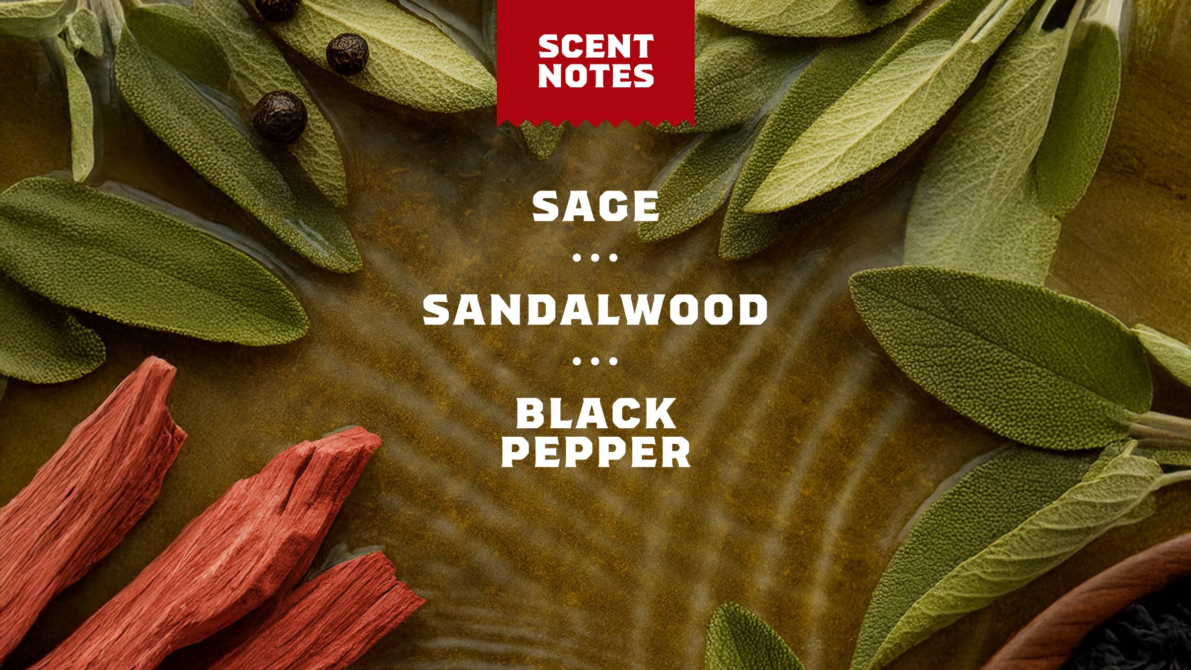 Sandalwood Summit Bar Soap - Image 4