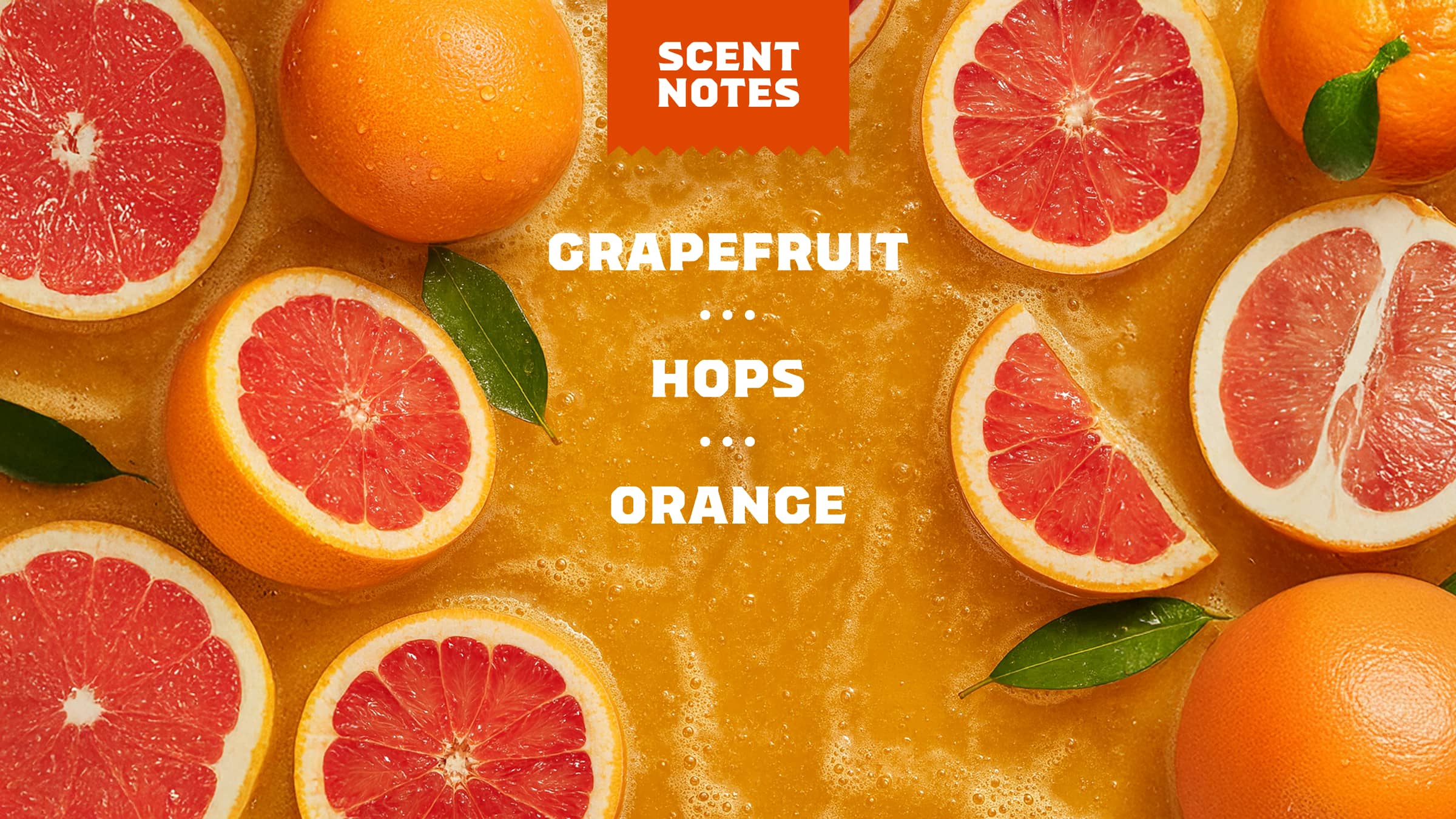 Grapefruit IPA Bar Soap - Image 4