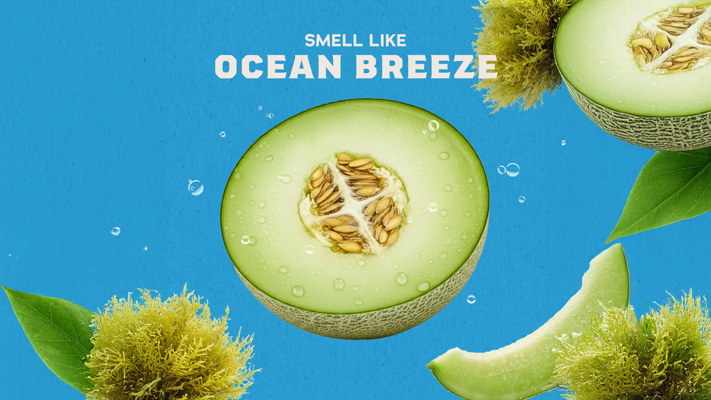 Coastal Mist Body Wash - Image 3